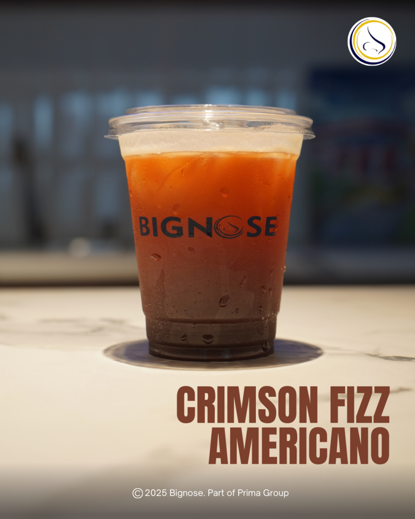 Crimson Fizz Americano (4)
